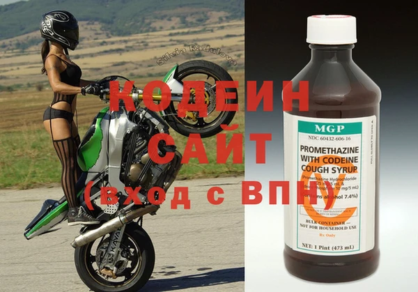 прущие грибы Ростов