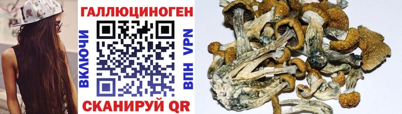 Псилоцибиновые грибы Magic Shrooms МЕГА вход Зерноград